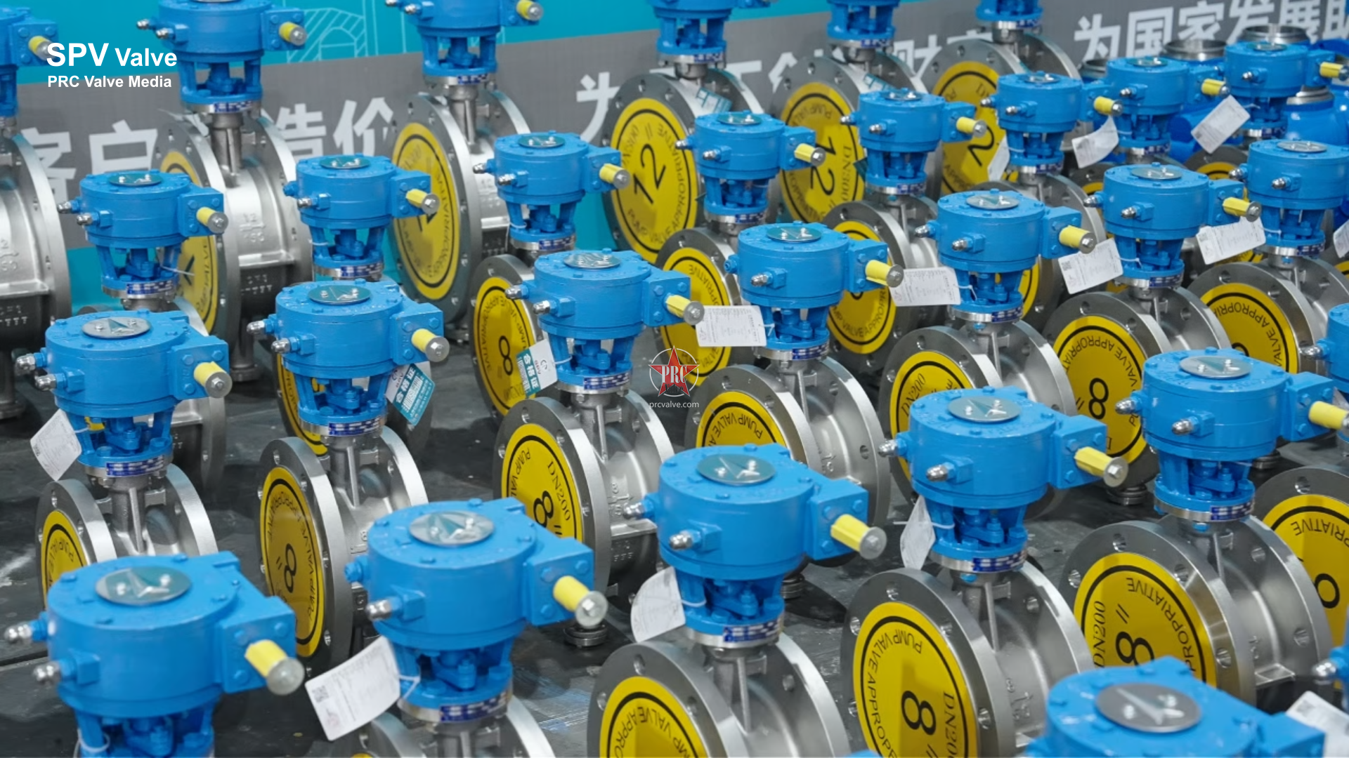 D343F-20P Worm Gear Operated Butterfly Valve – SPV