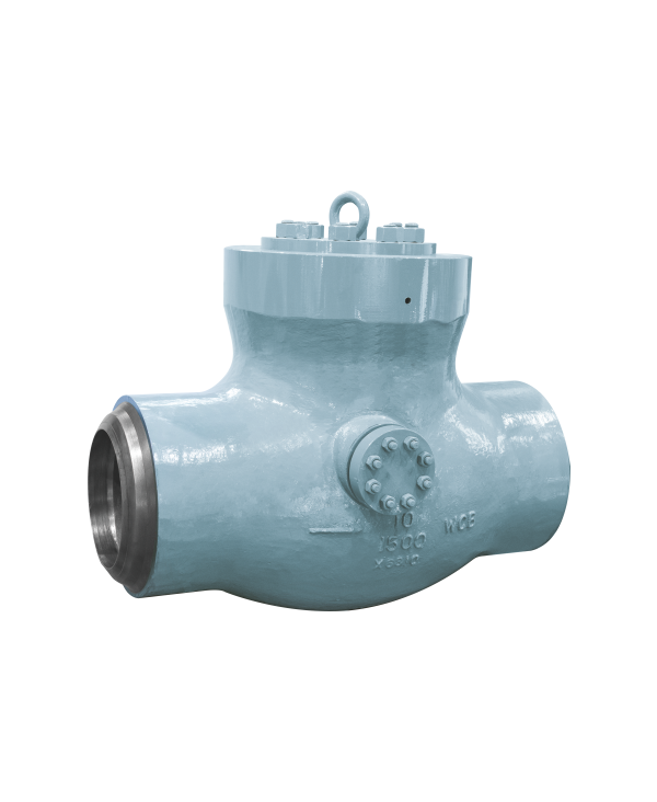 Power Station Check Valve